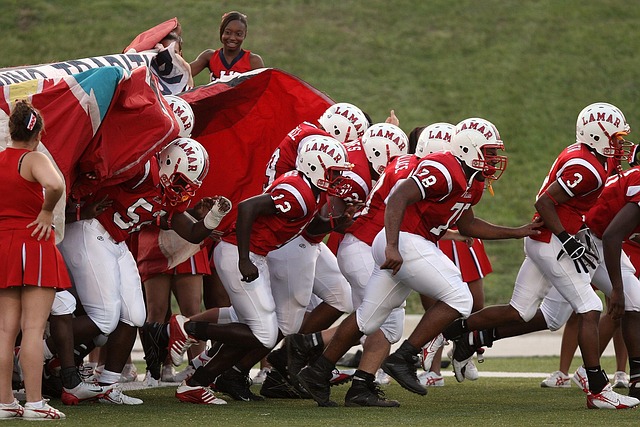 赖显然不利 赖显然不利